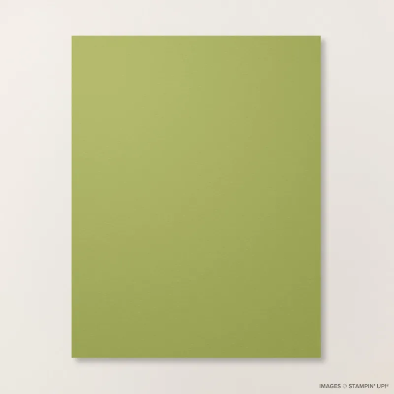 Old Olive 8 1/2" x 11" Cardstock