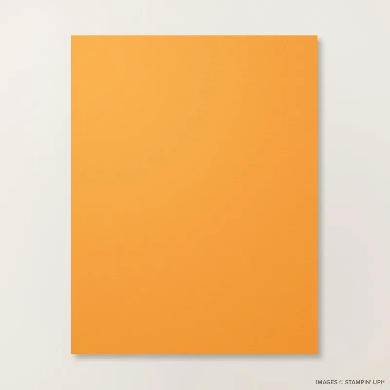 Pumpkin Pie 8 1/2" x 11" Cardstock