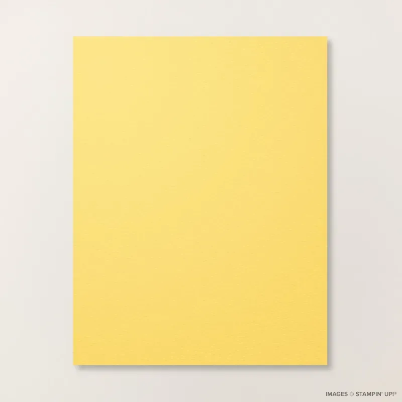Daffodil Delight 8 1/2" x 11" Cardstock