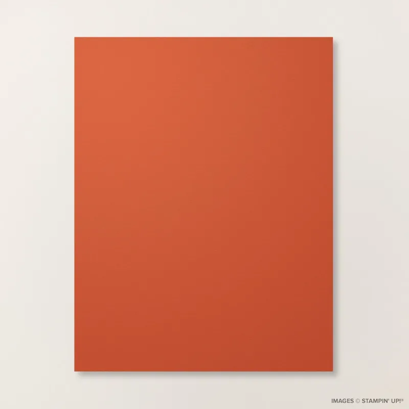 Cajun Craze 8 1/2" x 11" Cardstock