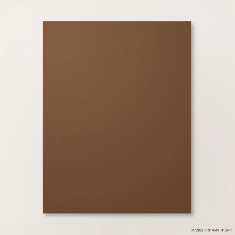 Early Espresso 8 1/2" x 11" Cardstock