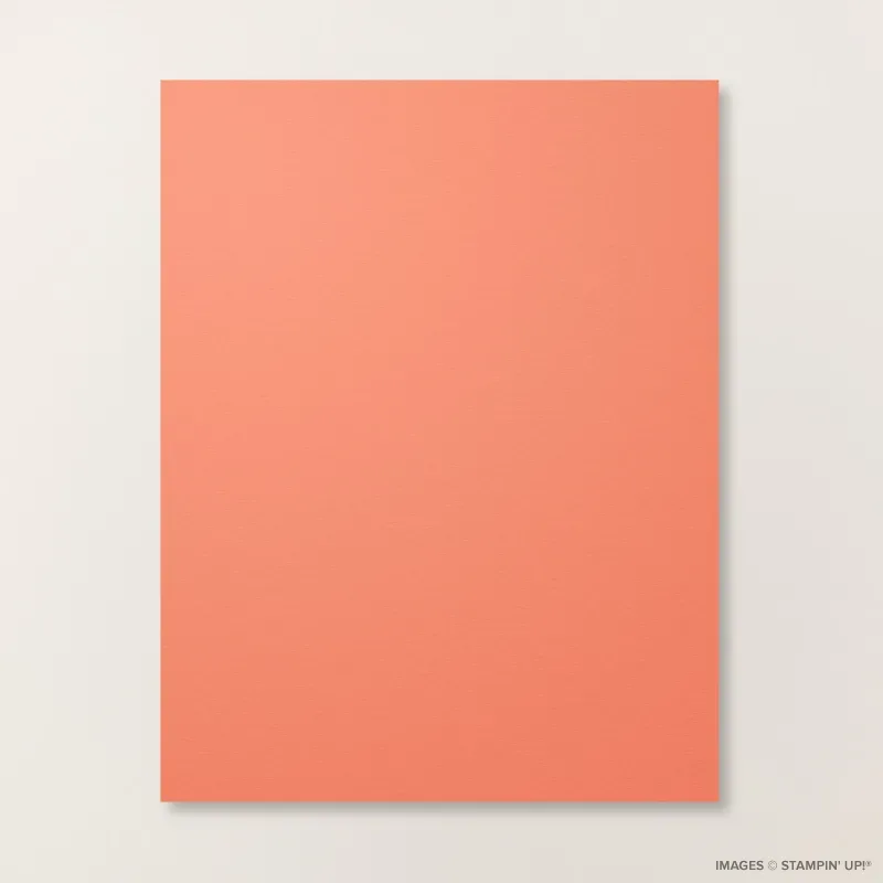 Calypso Coral 8 1/2" x 11" Cardstock