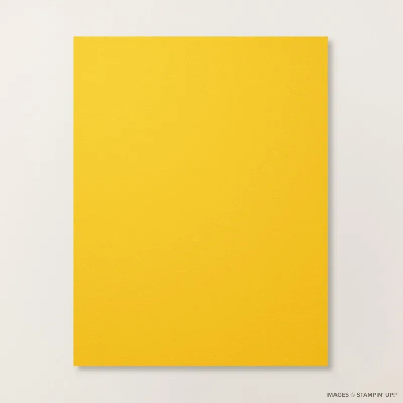 Crushed Curry 8 1/2" x 11" Cardstock