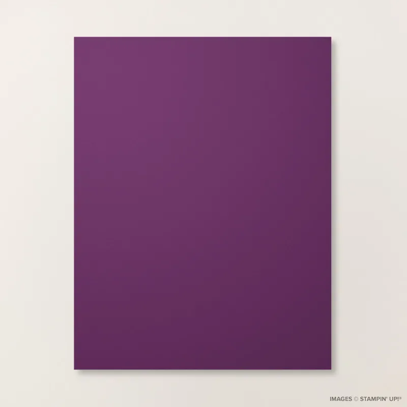 Blackberry Bliss 8 1/2" x 11" Cardstock