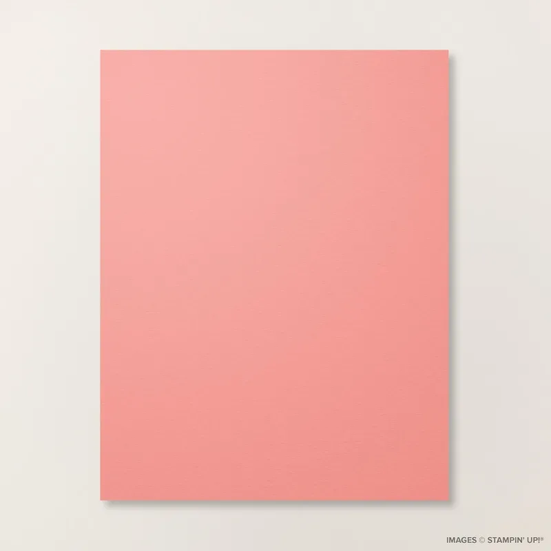 Flirty Flamingo 8 1/2" x 11" Cardstock