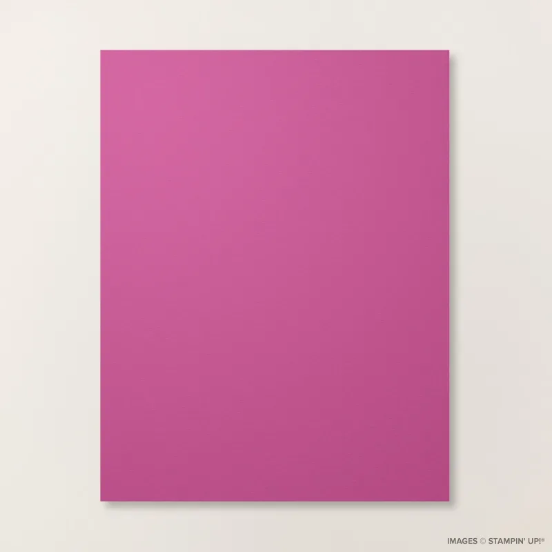 Berry Burst 8 1/2" x 11" Cardstock