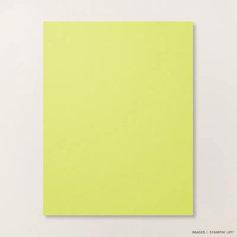 Lemon Lime Twist 8 1/2" x 11" Cardstock