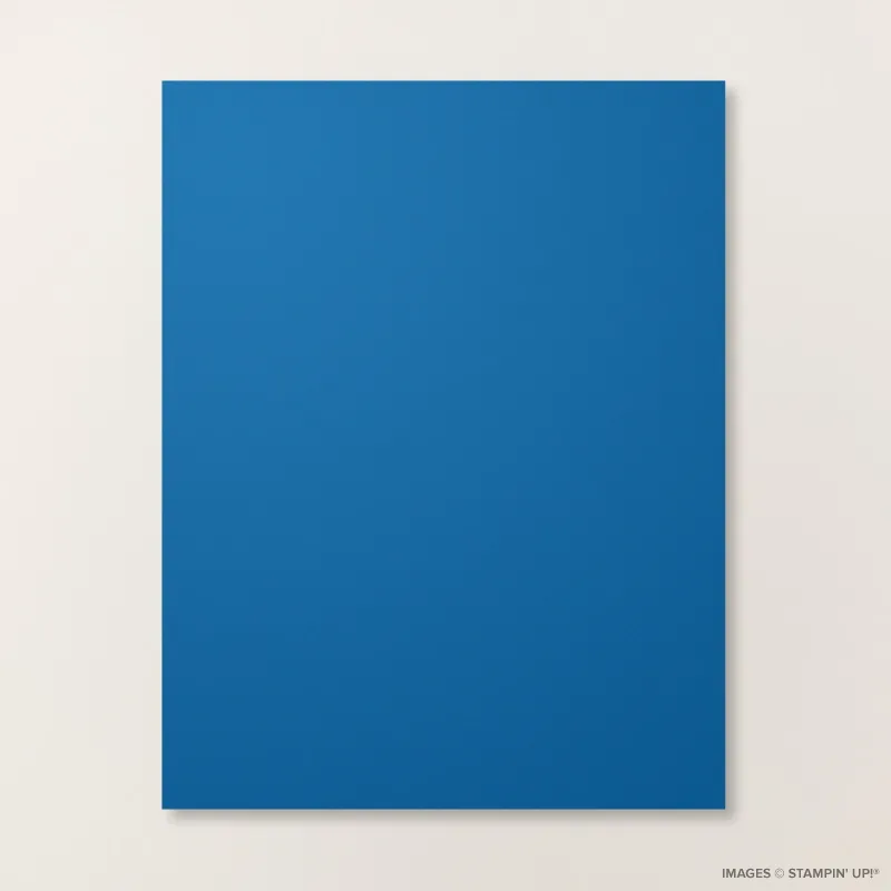 Blueberry Bushel 8 1/2" x 11" Cardstock