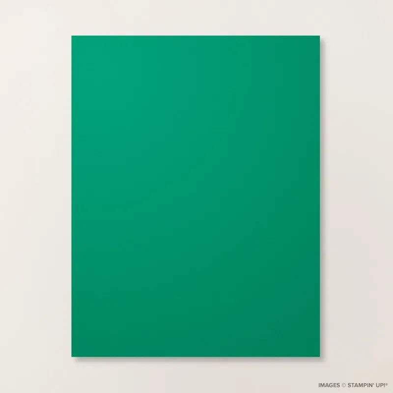 Shaded Spruce 8 1/2" x 11" Cardstock