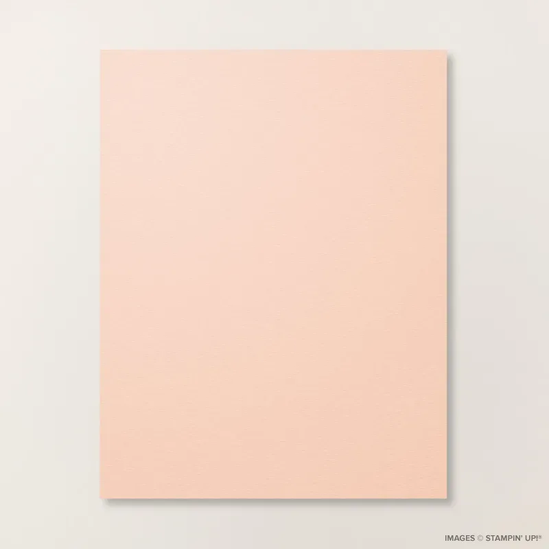 Petal Pink 8 1/2" x 11" Cardstock