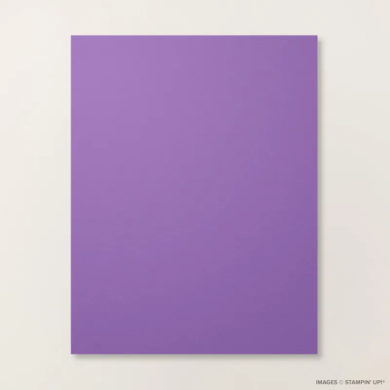 Gorgeous Grape 8 1/2" x 11" Cardstock