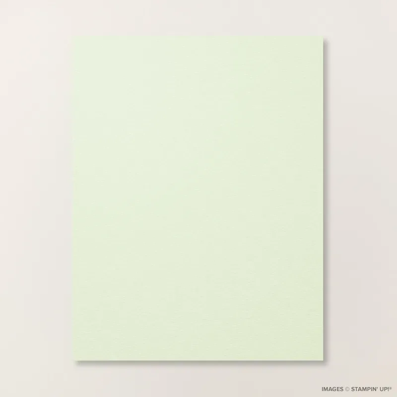 Soft Sea Foam 8 1/2" x 11" Cardstock