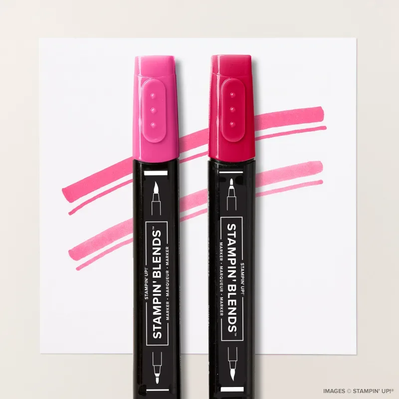 Melon Mambo Stampin' Blends Combo Pack
