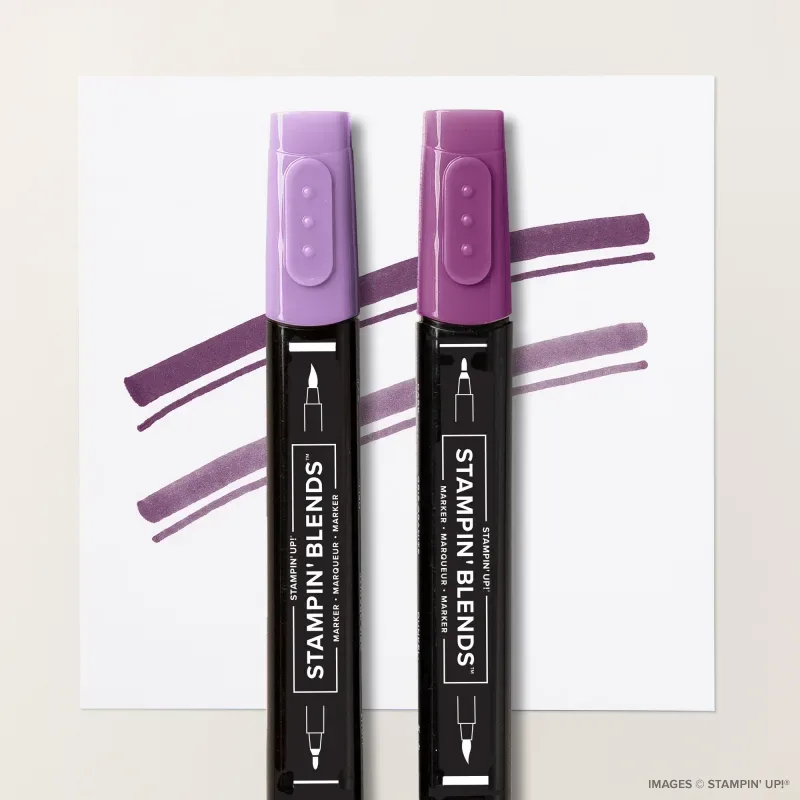 Blackberry Bliss Stampin' Blends Combo Pack