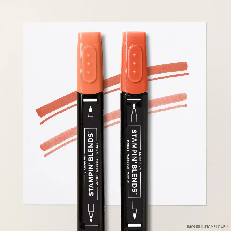 Cajun Craze Stampin' Blends Combo Pack