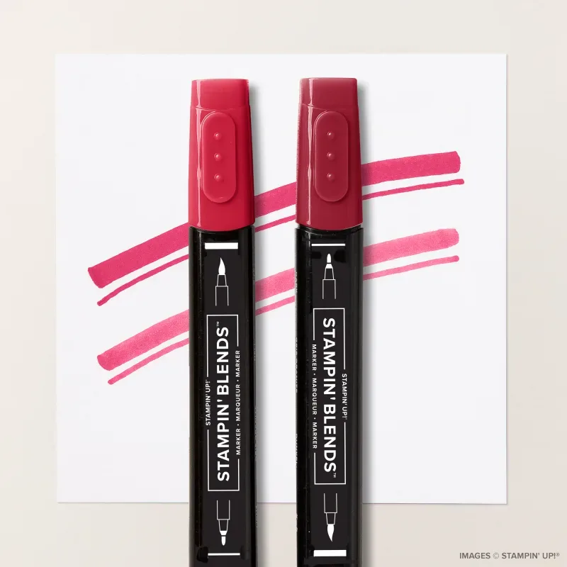 Cherry Cobbler Stampin' Blends Combo Pack