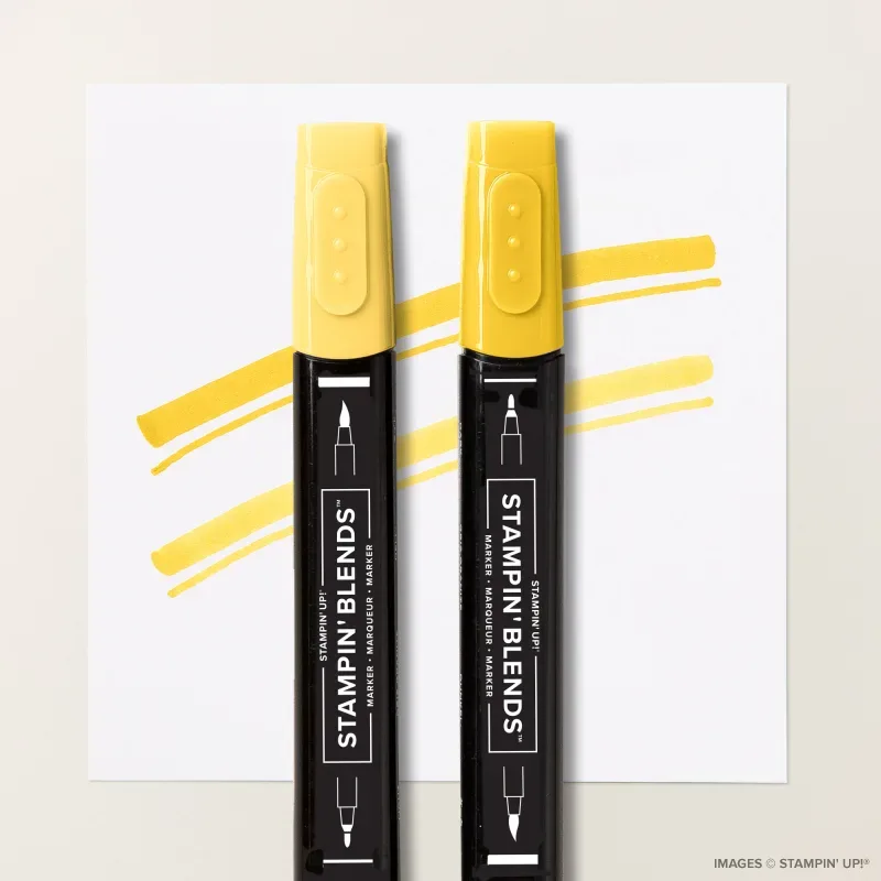 Daffodil Delight Stampin' Blends Combo Pack