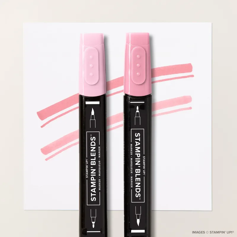 Flirty Flamingo Stampin' Blends Combo Pack