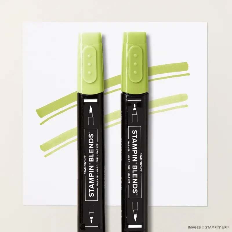 Granny Apple Green Stampin' Blends Combo Pack