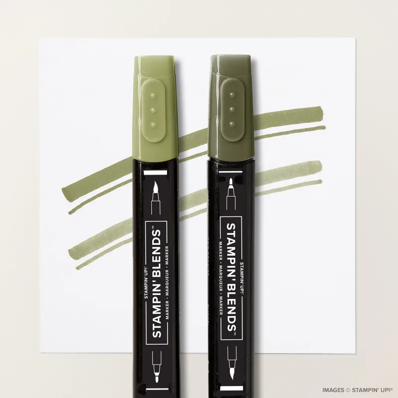 Mossy Meadow Stampin' Blends Combo Pack