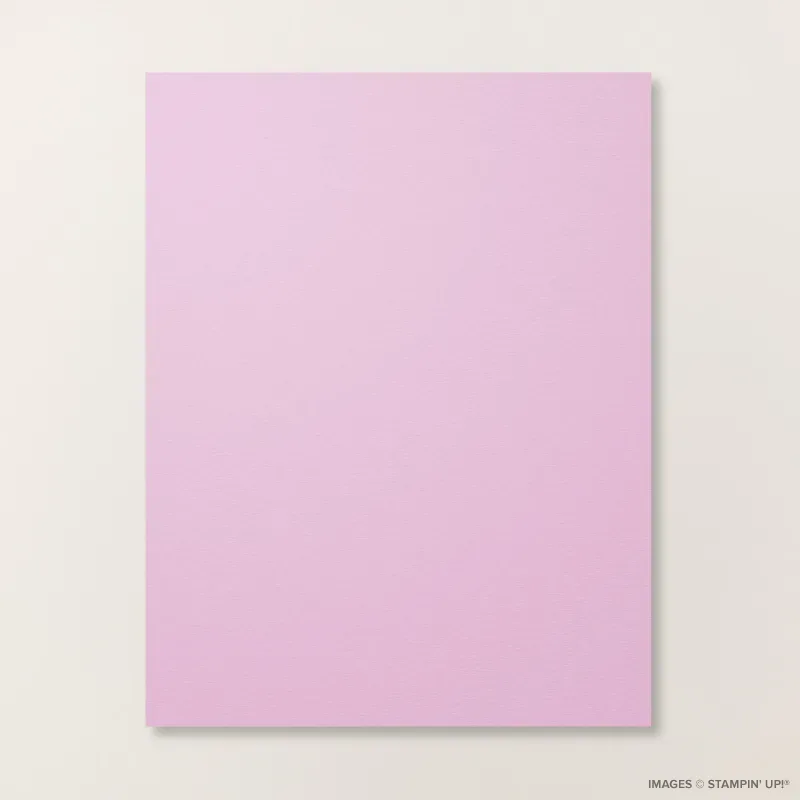 Fresh Freesia 8 1/2" x 11" Cardstock