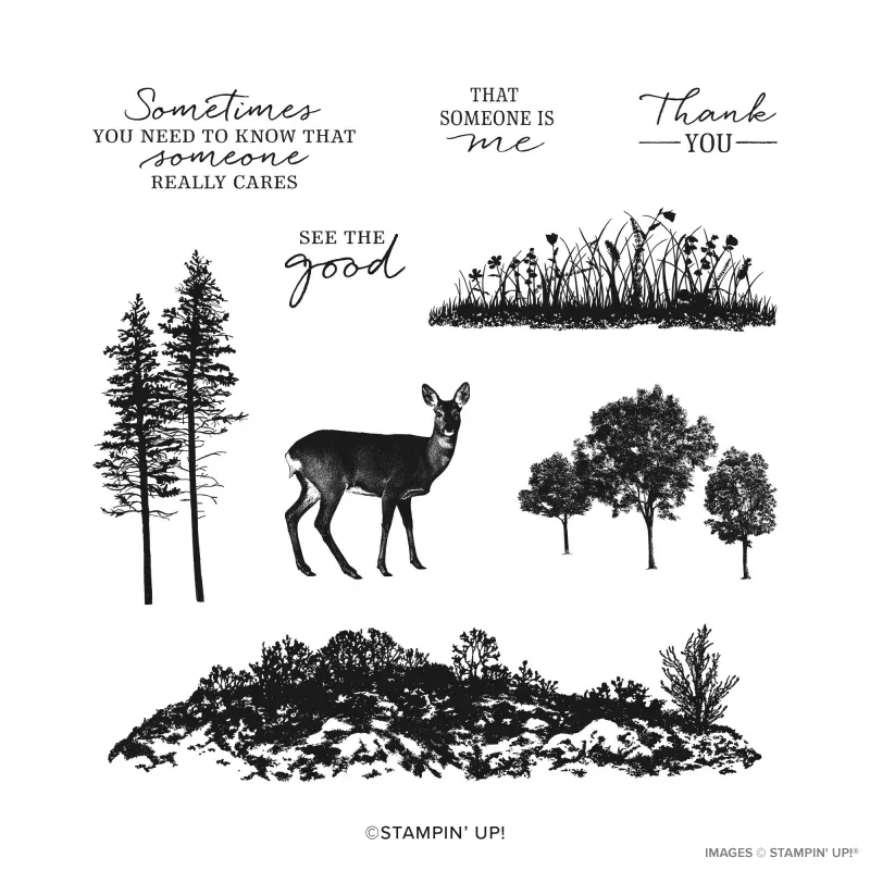 Grassy Grove Cling Stamp Set (English)