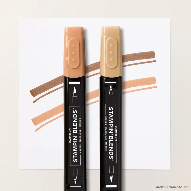 Stampin’ Blends Medium Combo