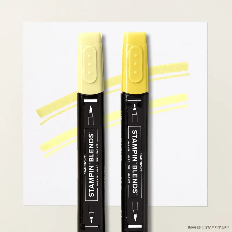 Lemon Lolly Stampin’ Blends Combo Pack