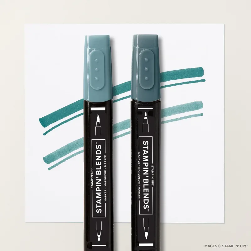 Pretty Peacock Stampin’ Blends Combo Pack