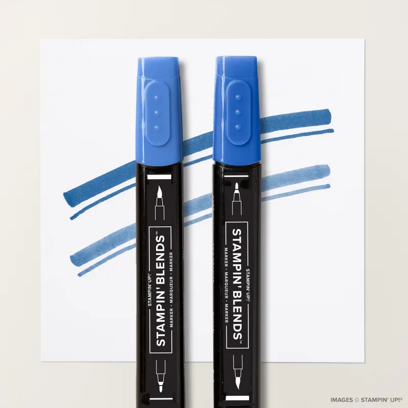 Blueberry Bushel Stampin’ Blends Combo Pack