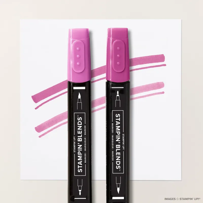 Berry Burst Stampin’ Blends Combo Pack