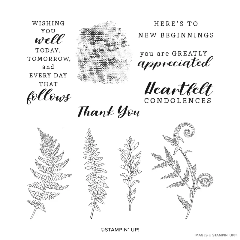 Wild Ferns Cling Stamp Set (English)