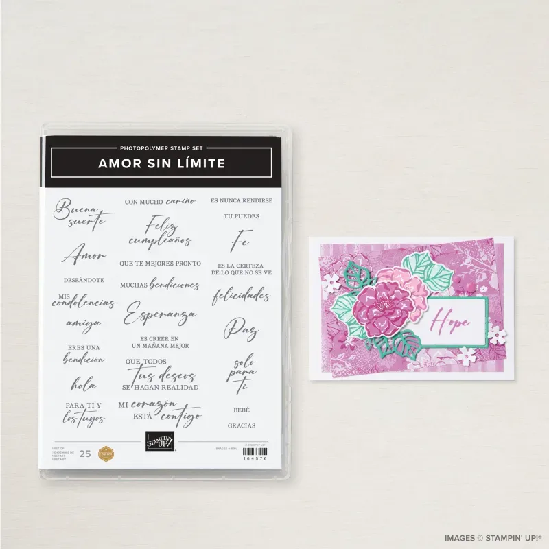 Amor Sin LÍmite Photopolymer Stamp Set (Spanish)