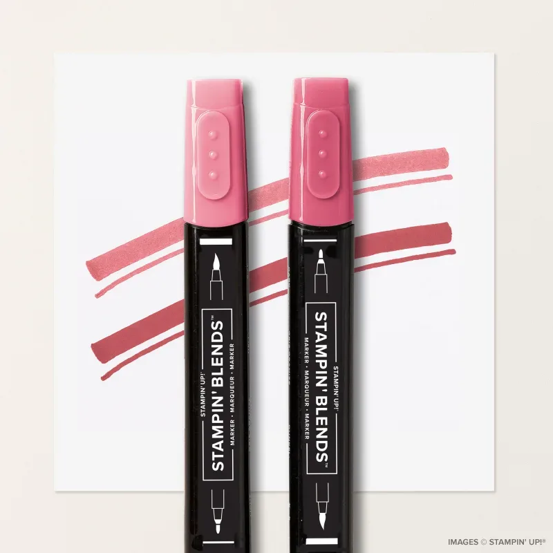 Strawberry Slush Stampin’ Blends Combo Pack