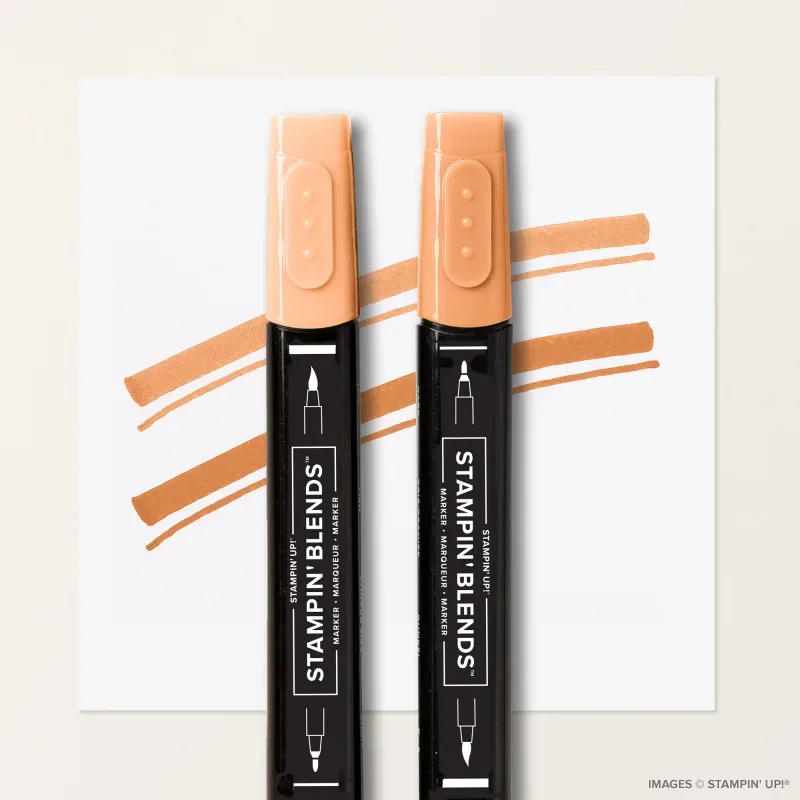 Timid Tiger Stampin’ Blends Combo Pack