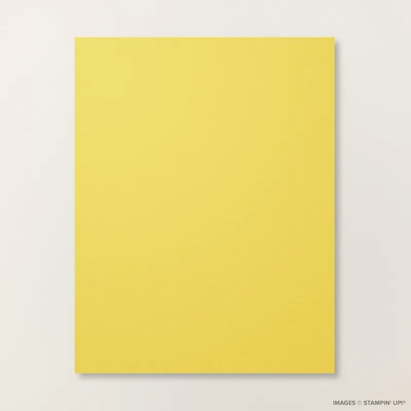 Darling Duckling 8 1/2" x 11" Cardstock