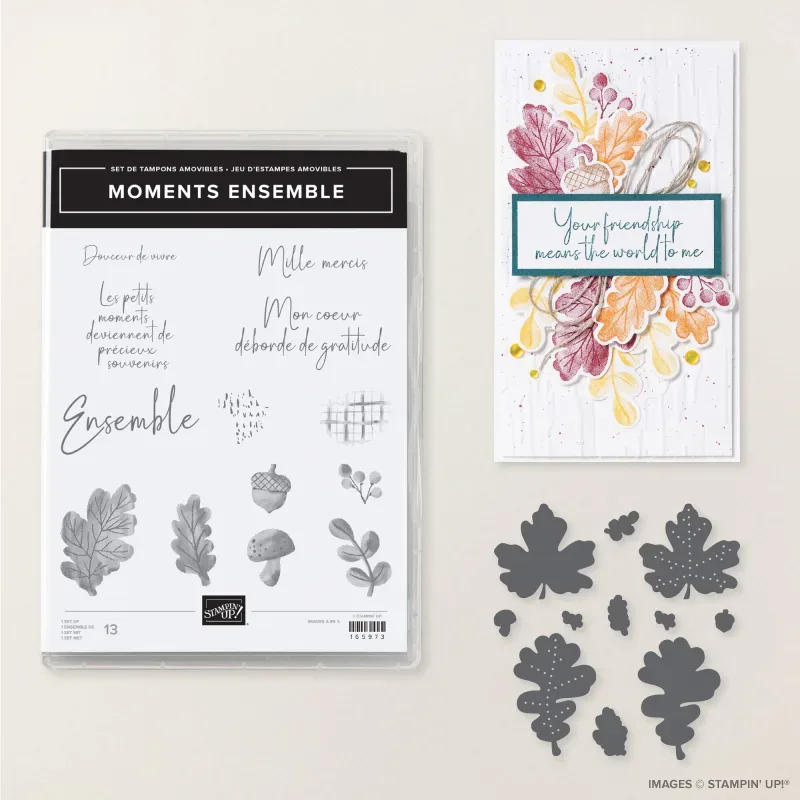Moments Ensemble Bundle (French)
