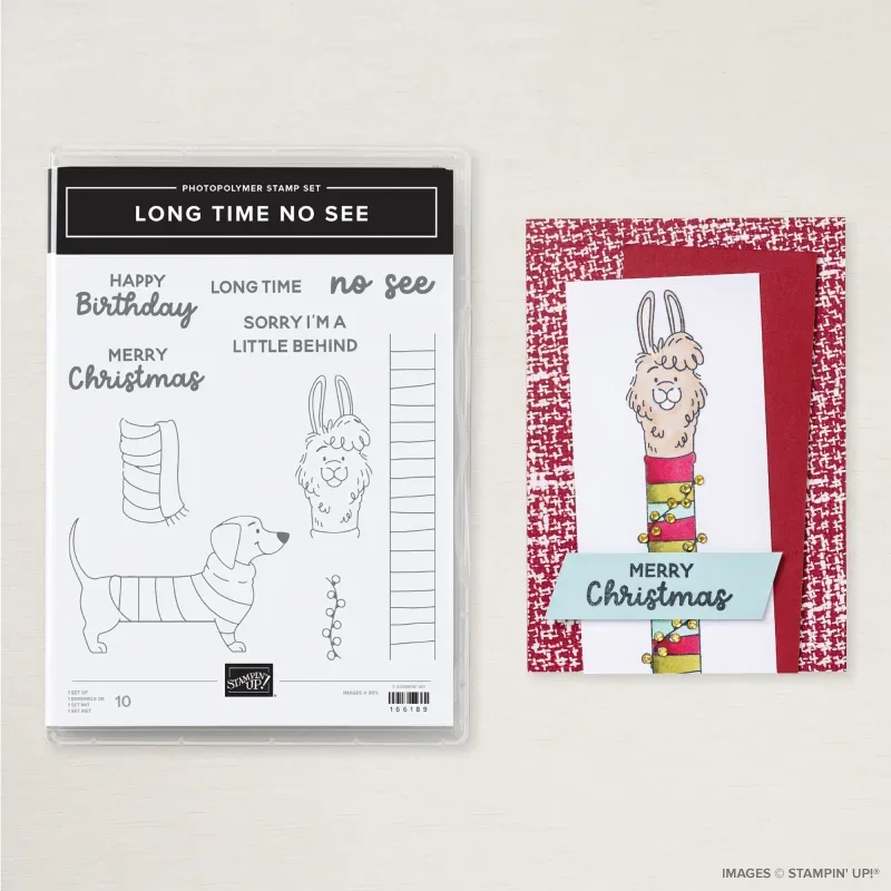 Long Time No See Photopolymer Stamp Set (English)