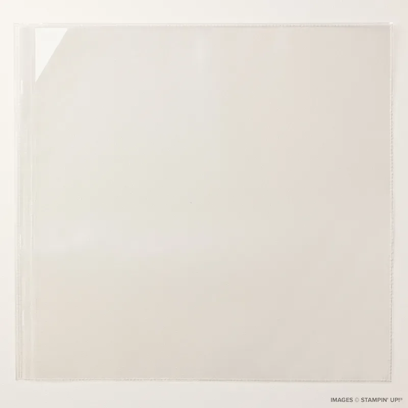 12" x 12" Strap Side-Load Memory Protectors