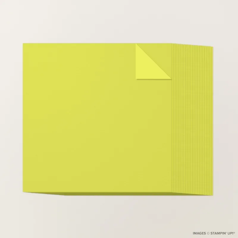 Lemon Lime Twist 12" x 12" Two-Tone Cardstock