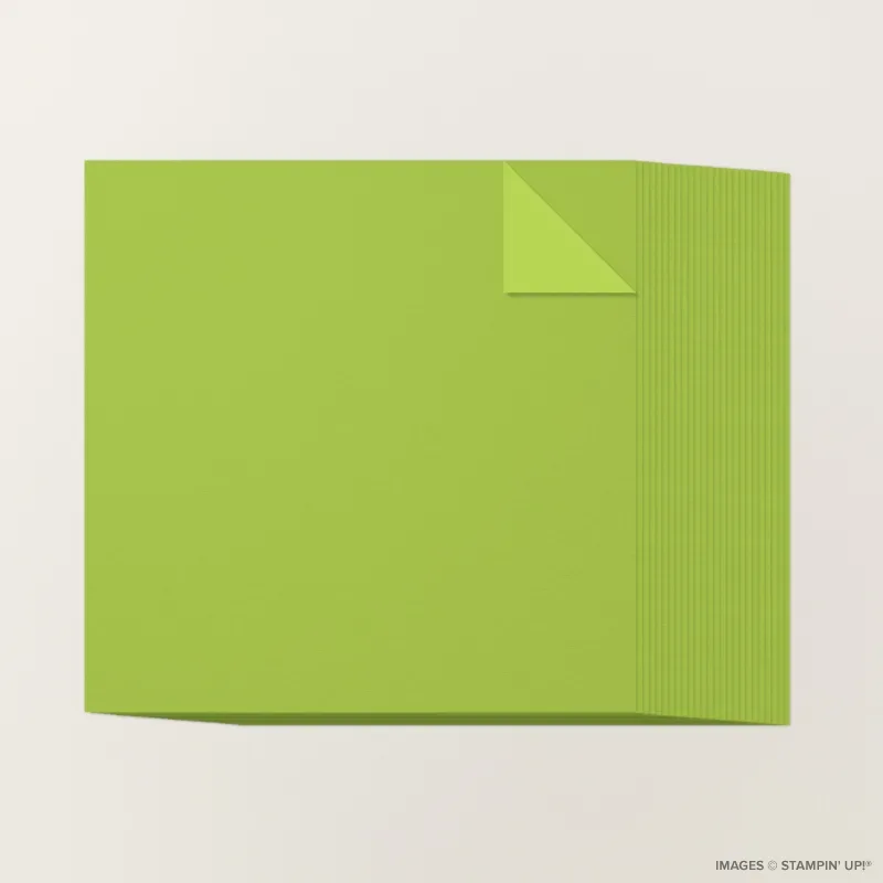 Granny Apple Green 12" x 12" Two-Tone Cardstock