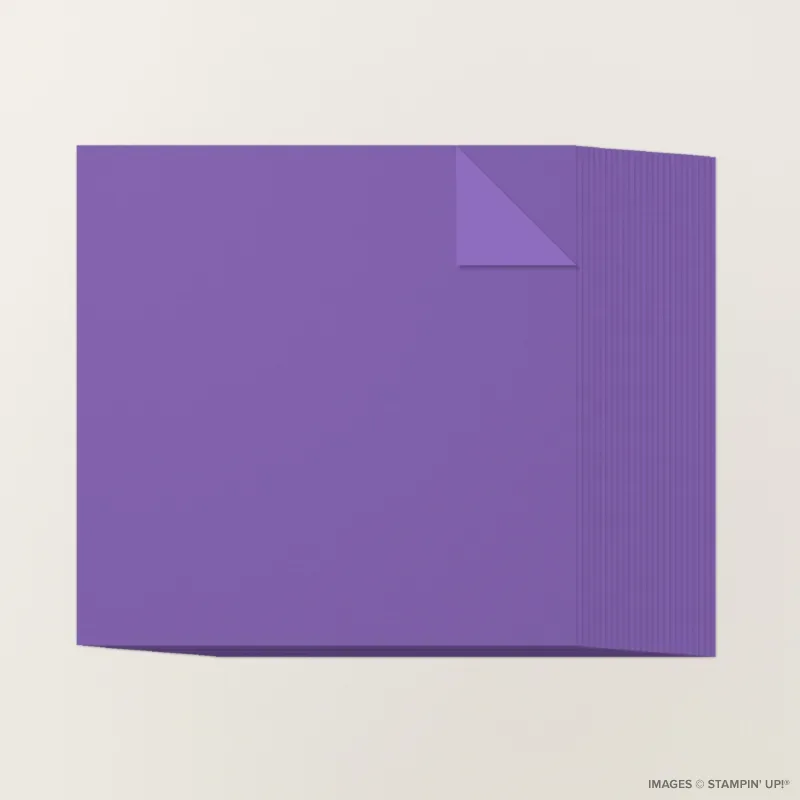 Gorgeous Grape 12" x 12" Two-Tone Cardstock