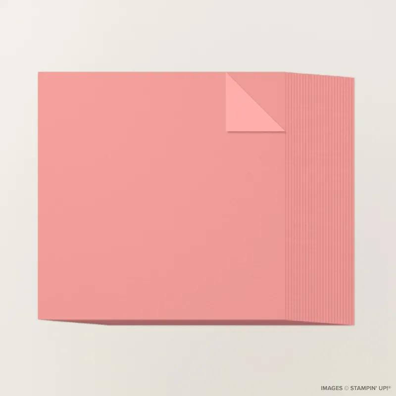 Flirty Flamingo 12" x 12" Two-Tone Cardstock