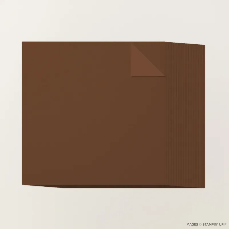 Early Espresso 12" x 12" Two-Tone Cardstock