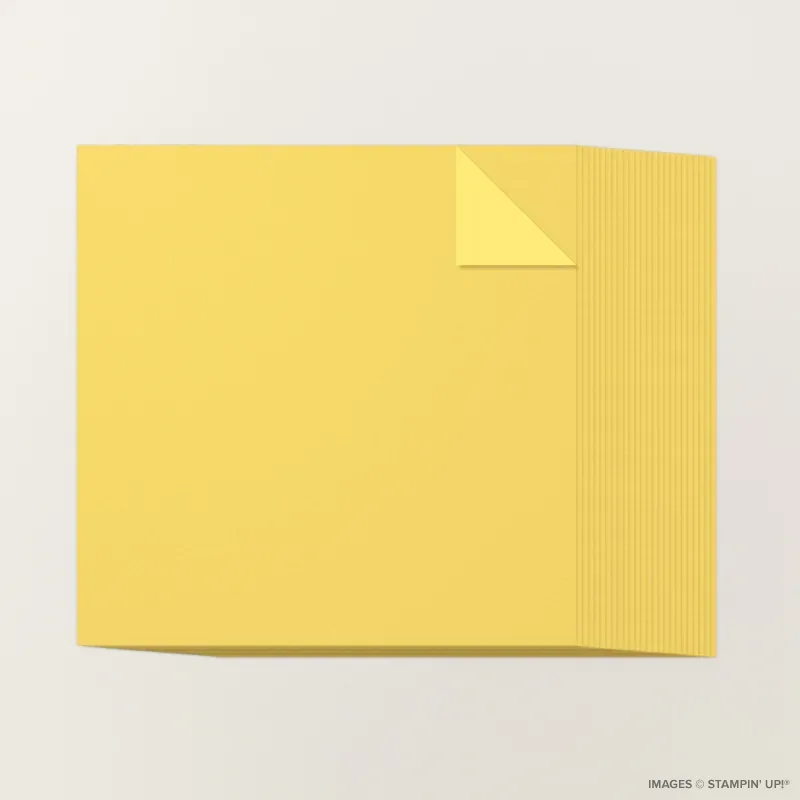 Daffodil Delight 12" x 12" Two-Tone Cardstock