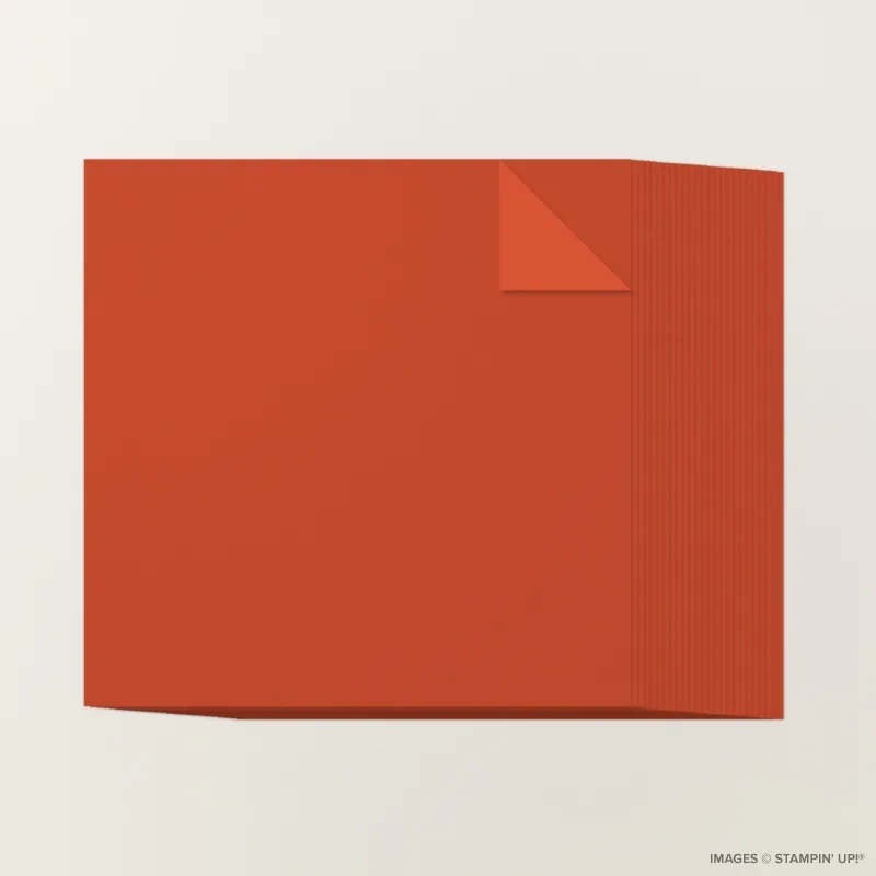 Cajun Craze 12" x 12" Two-Tone Cardstock