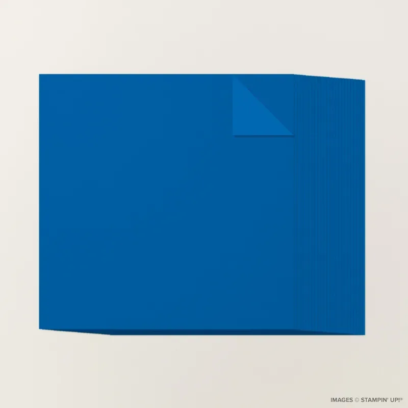 Blueberry Bushel 12" x 12" Two-Tone Cardstock