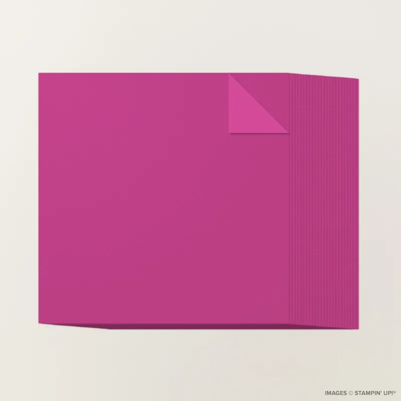 Berry Burst 12" x 12" Two-Tone Cardstock