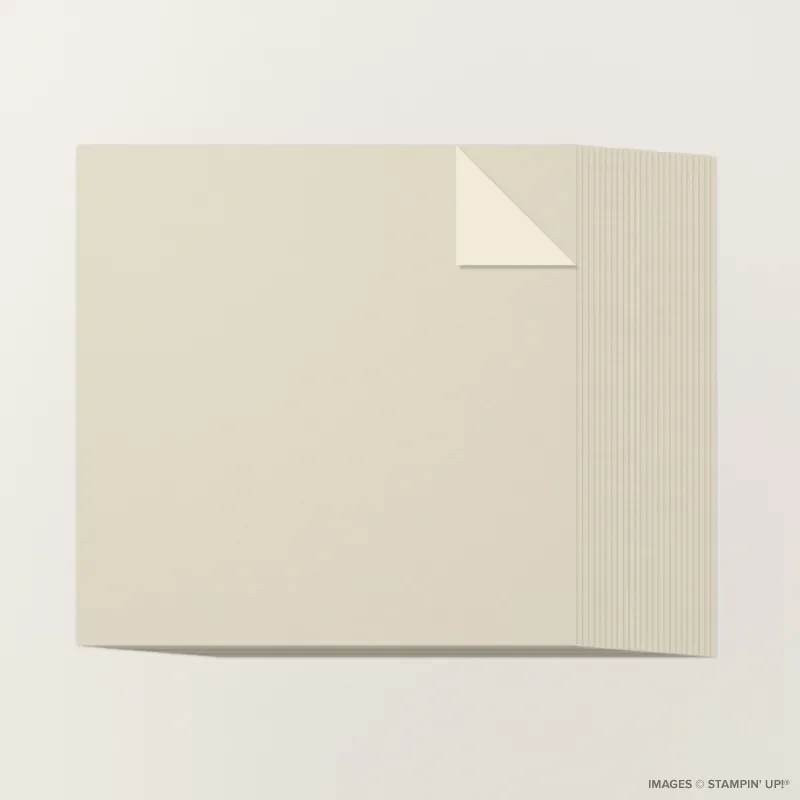 Basic Beige 12" x 12" Two-Tone Cardstock