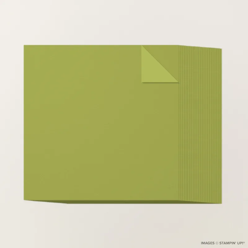 Old Olive 12" x 12" Two-Tone Cardstock
